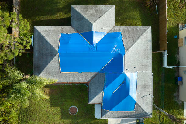 Best Roof Leak Repair  in Maysville, MO