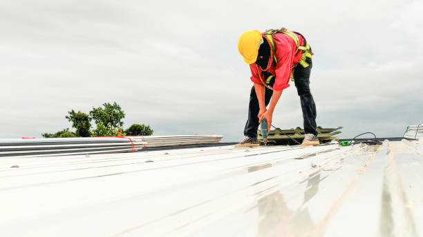 Best Metal Roofing Installation  in Maysville, MO